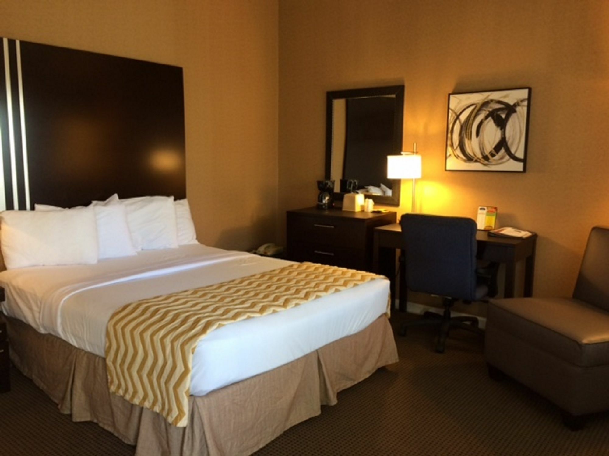 Super 8 By Wyndham Albany