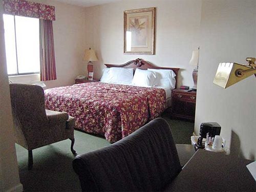 Super 8 By Wyndham Albany